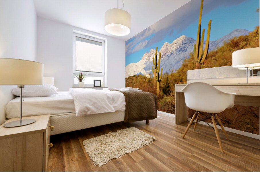 Four Peaks Arizona Desert Landscape Mural print