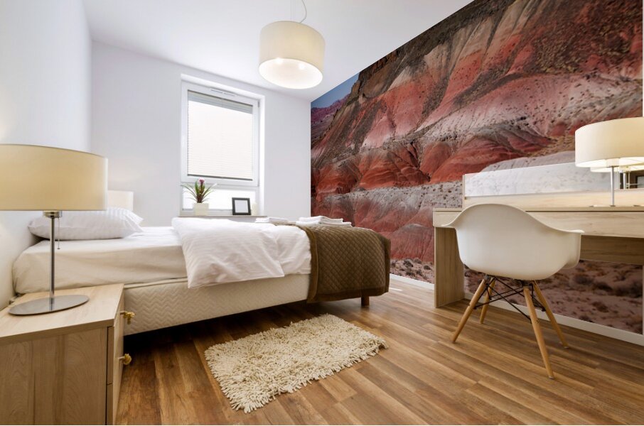 Painted Desert Strata Arizona Nature Landscape Mural print