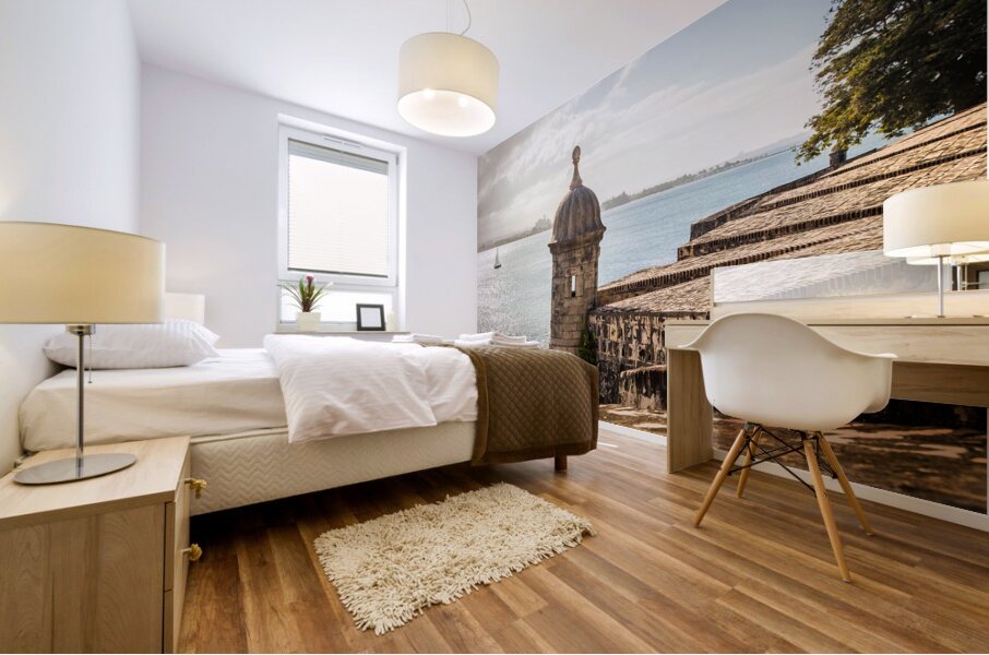 A Picturesque Scene in San Juan Puerto Rico Mural print