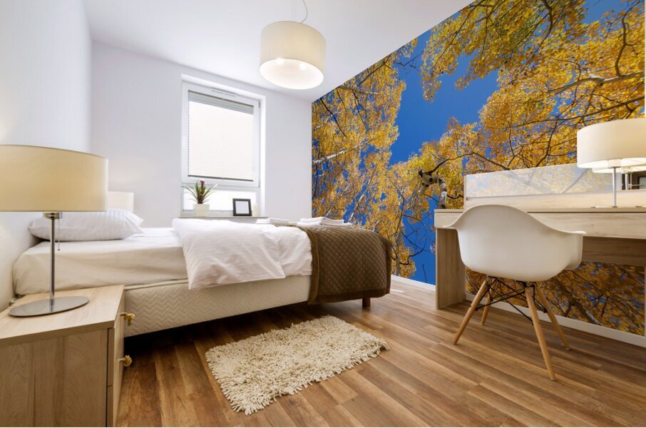 Aspen Curve Impression murale