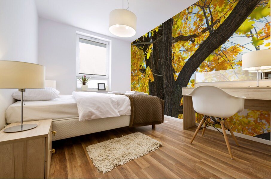 Golden Giggles   When Autumn Leaves Steal the Spotlight Mural print