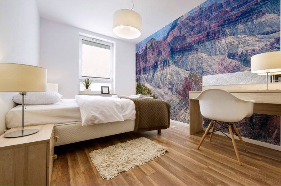 Deep Inside The Grand Canyon 2 Mural print