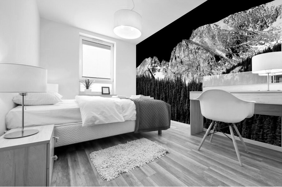 Continental Divide   Indian Peaks   Infrared Mural print