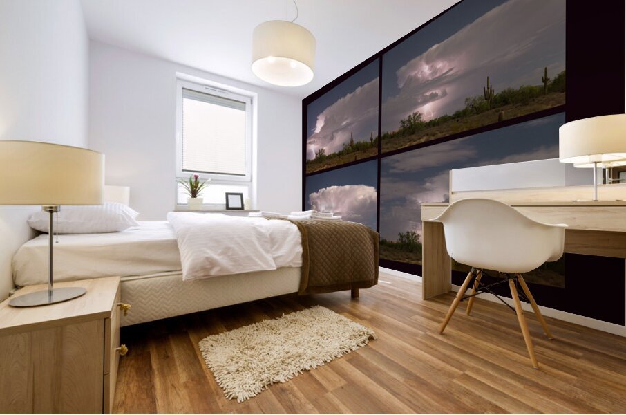 Storming Sonoran Desert Mural print