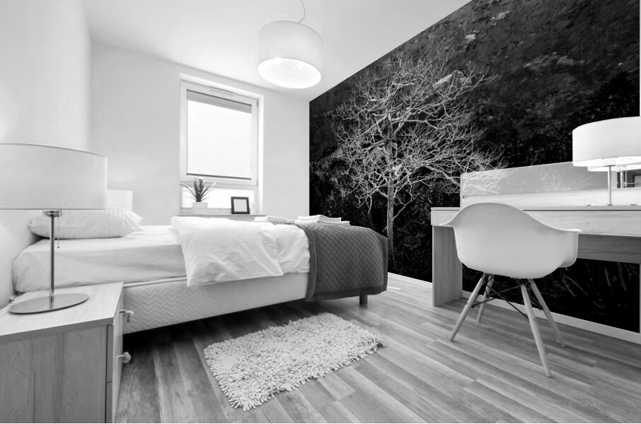 Majestic Solitude of a Bare Tree in Black and White Mural print