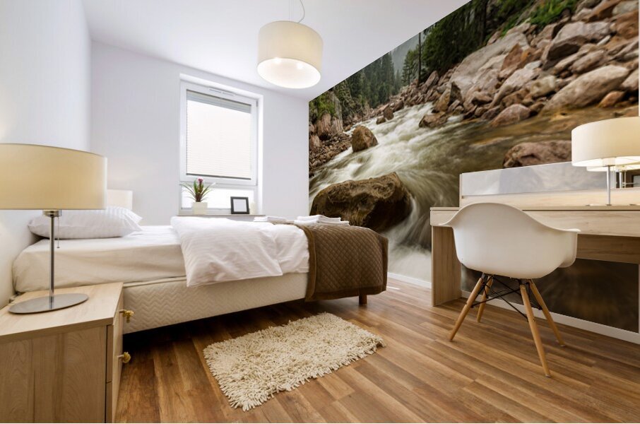 South St Vrain Canyon Portrait Boulder County Colorado Mural print