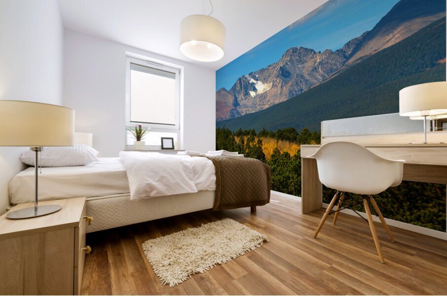 Rocky Mountain Pool of Gold Impression murale