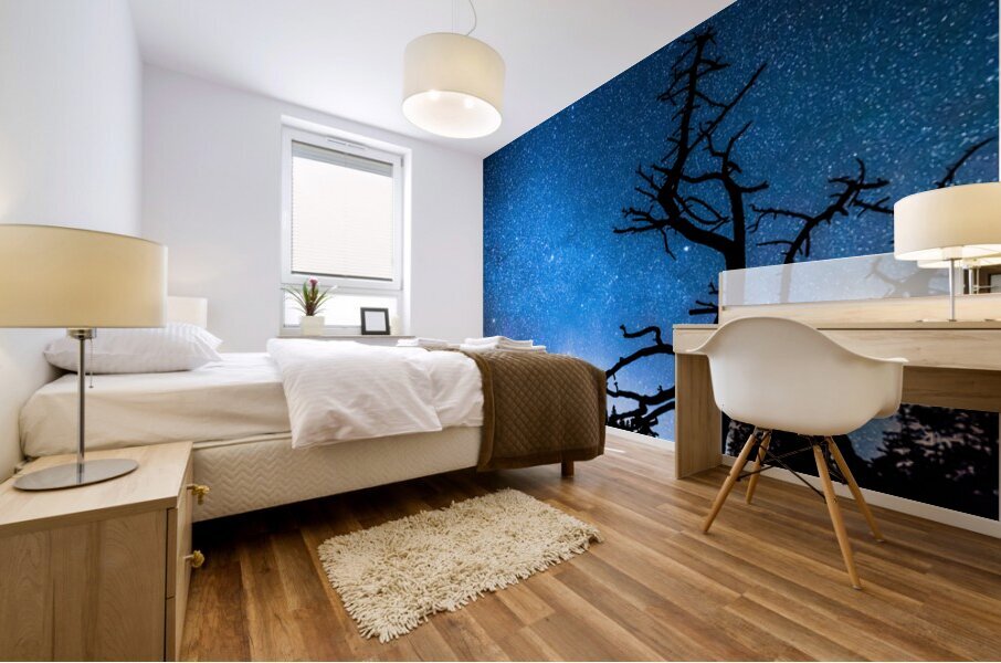 Starry Night at Bryce Canyon Mural print