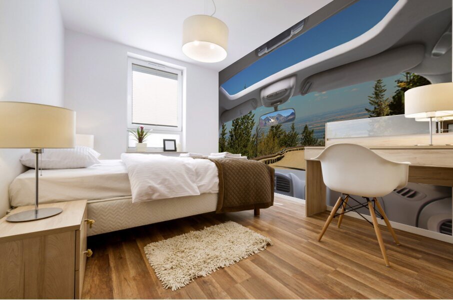 Coming Down from the High Country Window View Mural print