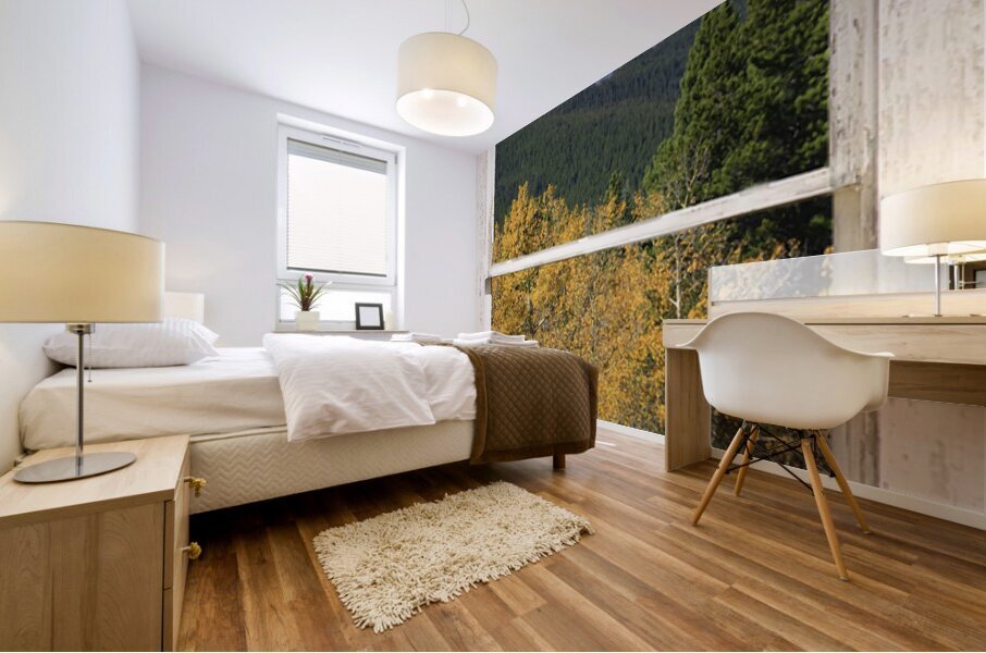 Colorado Autumn Longs Peak Window View Fine Art Print Mural print