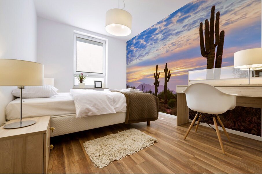 Colorful Sonoran Desert Sunrise in Beautiful Arizona Mural print