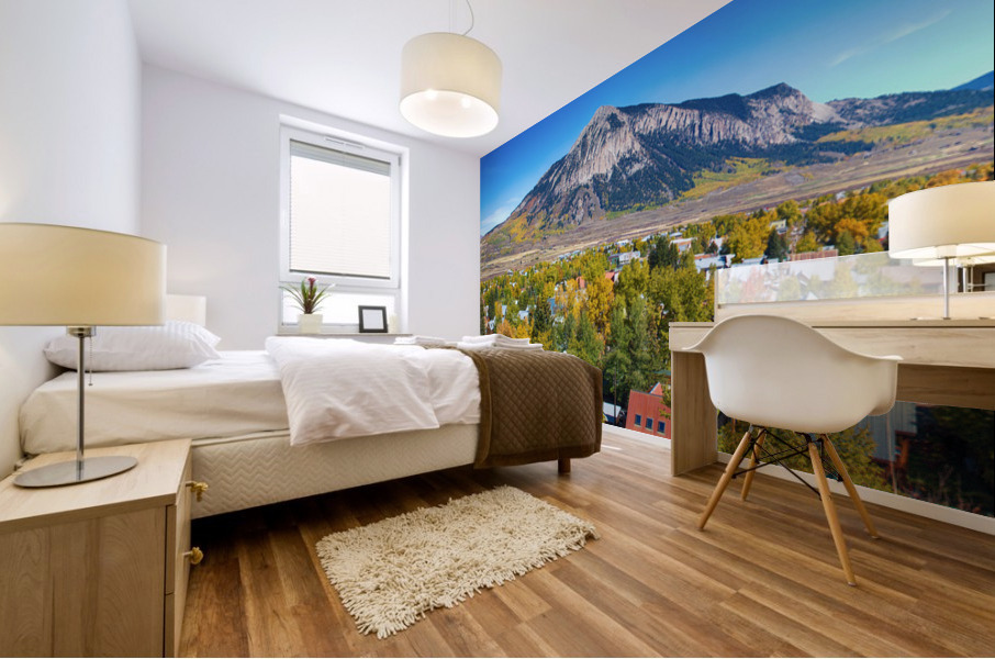 Crested Butte Town Panorama Mural print