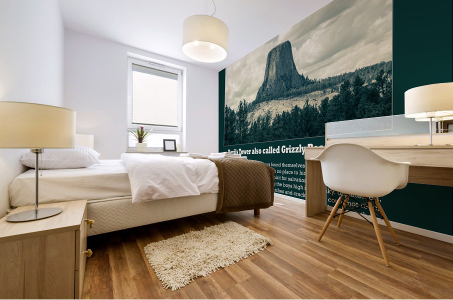 Devils Tower also called Grizzly Bear Lodge Poster Mural print