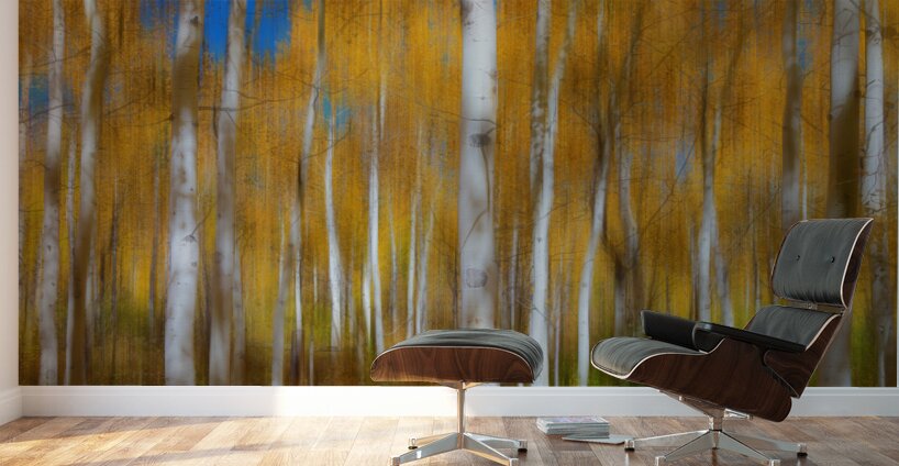 Sleepy Hollow Wall Murals