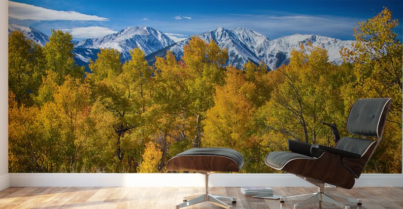 Independence Pass Autumn View Wall Murals