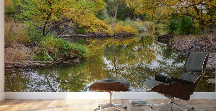 St Vrain Tranquility Wall Murals