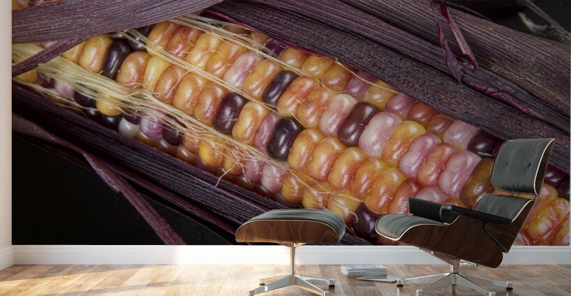 Colorful Indian Corn Wall Murals