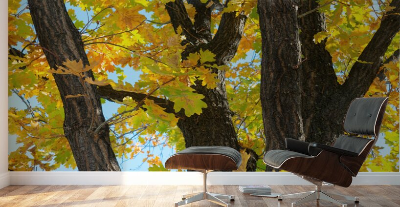 Some Un be leaf able Fall Vibes Wall Murals