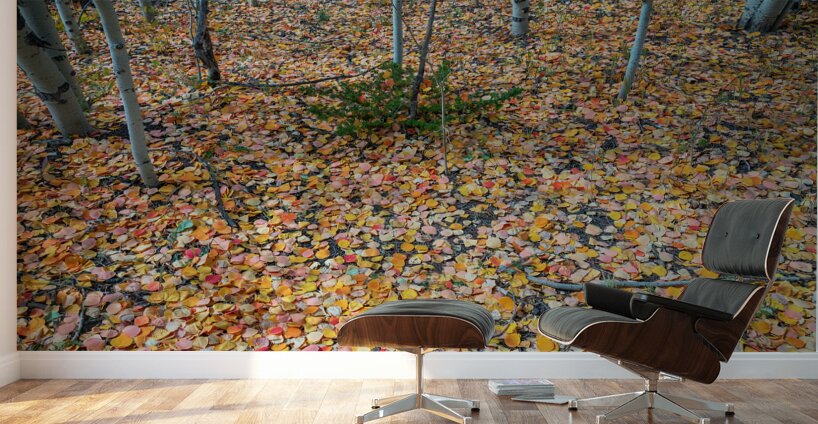 Art By Mother Nature Wall Murals