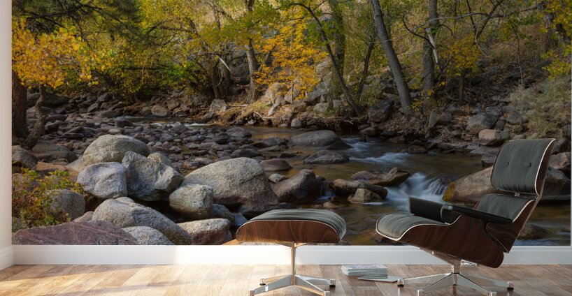 Gentle Stream Wall Murals