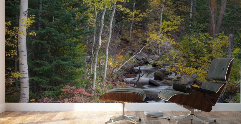 Tranquility on the Stream  Wall Murals