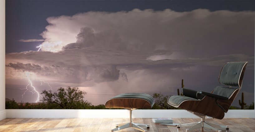 Arizona Power Wall Murals