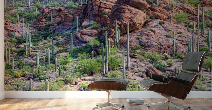 Arizona Desert Forest Wall Murals