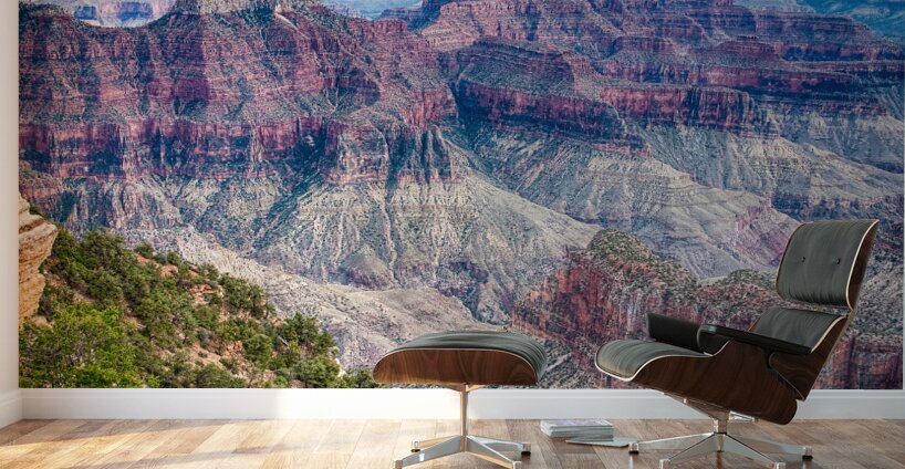 Deep Inside The Grand Canyon 2 Wall Murals