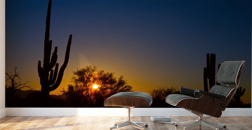 Just Another Sonoran Desert Sunrise Wall Murals