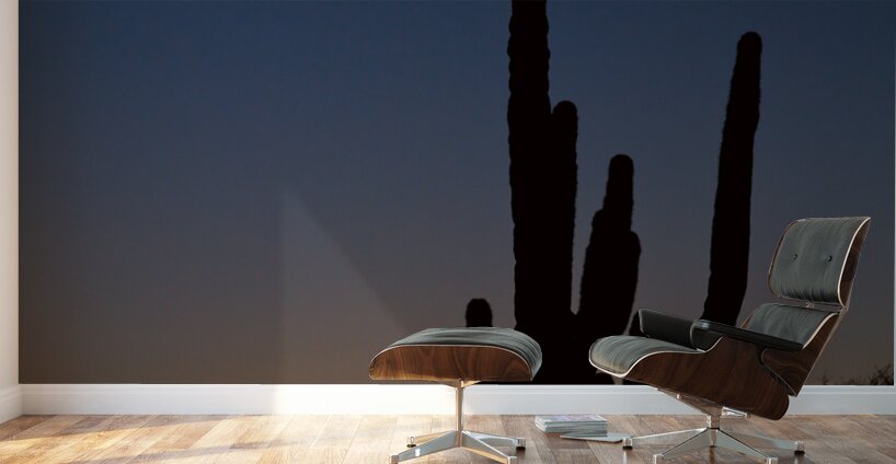 Sonoran Desert Sunrise Wall Murals