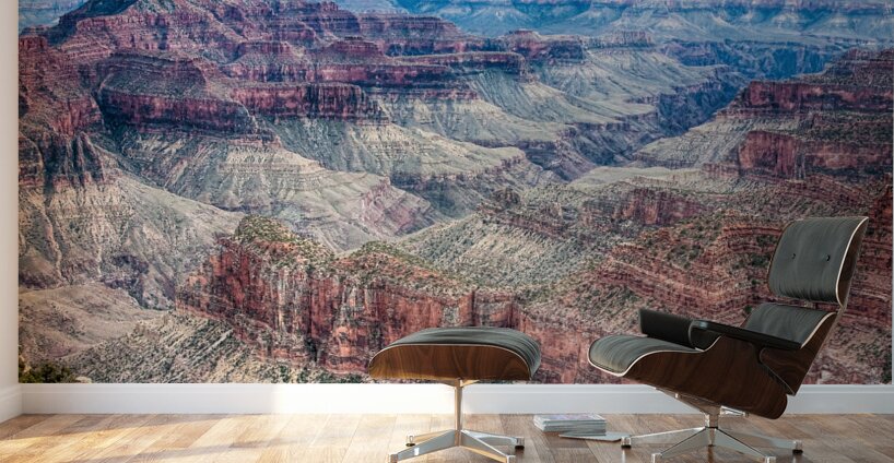 A Look Into The Grand Canyon  Wall Murals