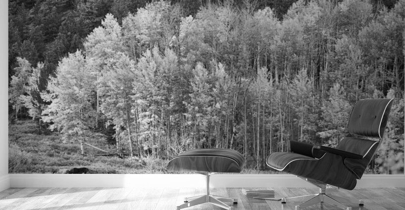 Autumn Grazing Horses Bonanza Wall Murals