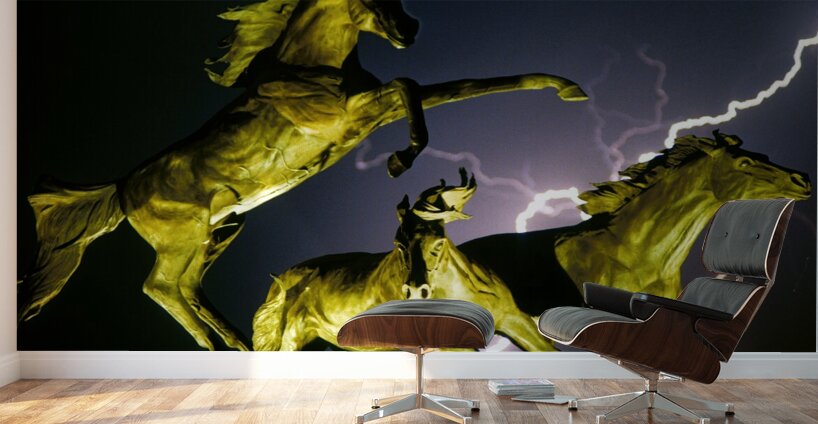 Horse World Wall Murals