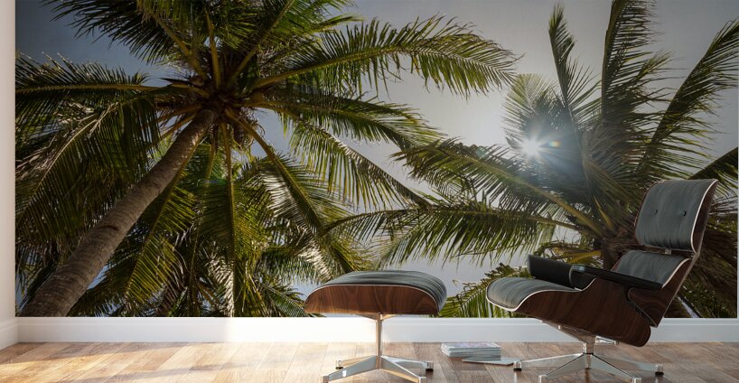 Tropical Sun Wall Murals