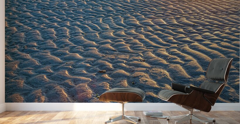 Ripples In The Sand Wall Murals