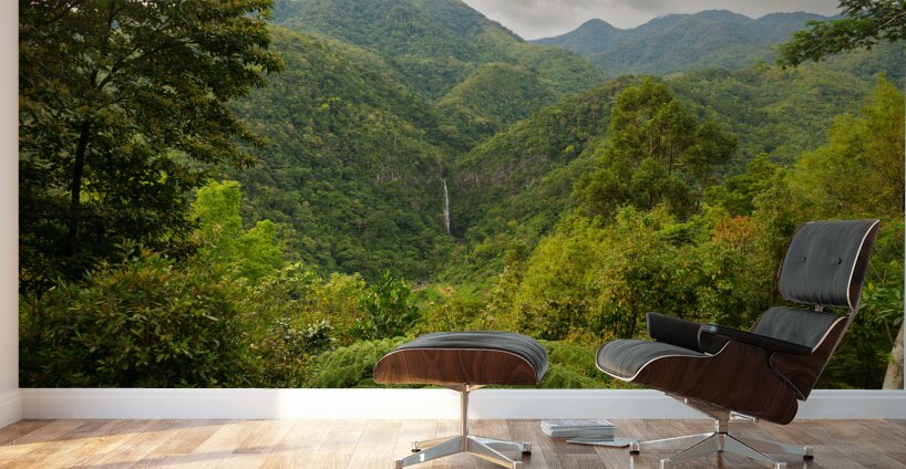 Whispers of the Malantan og Waterfall Hidden in Time Wall Murals