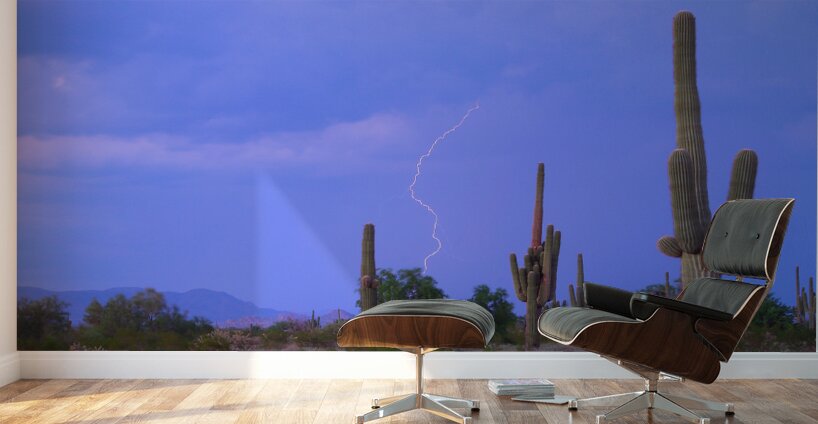 Southwest Sonoran Desert Lightning Strike Wall Murals