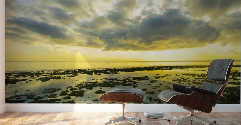 Where the Sky Meets the Tides Wall Murals