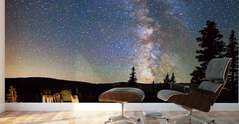 Walking Bridge to The Milky Way Wall Murals