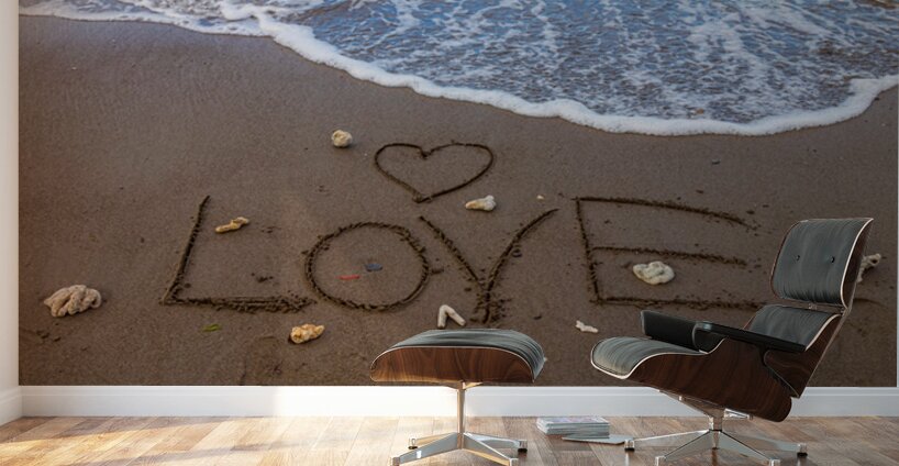 Ocean Love Wall Murals