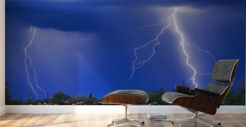 Colorful Sonoran Desert Storm Wall Murals