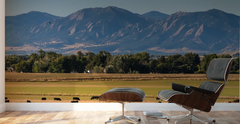 Boulder Flatirons and Cows Wall Murals