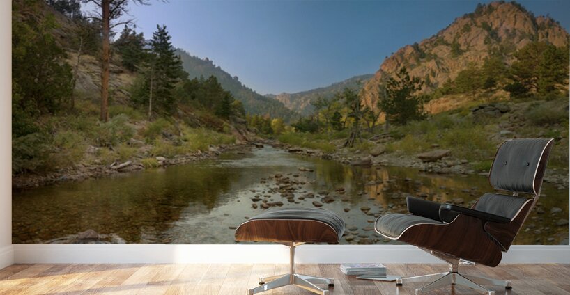 South St Vrain Canyon Streaming Wall Murals