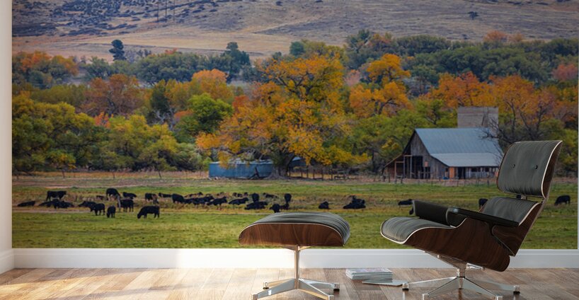 Just A Pretty Country Landscape Wall Murals