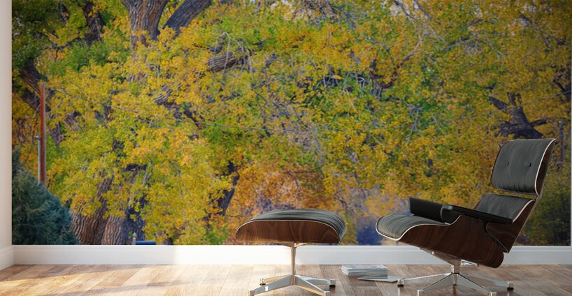 Awesome Country Road Wall Murals