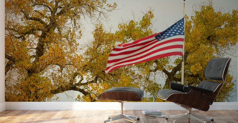 Glory Glory Wall Murals