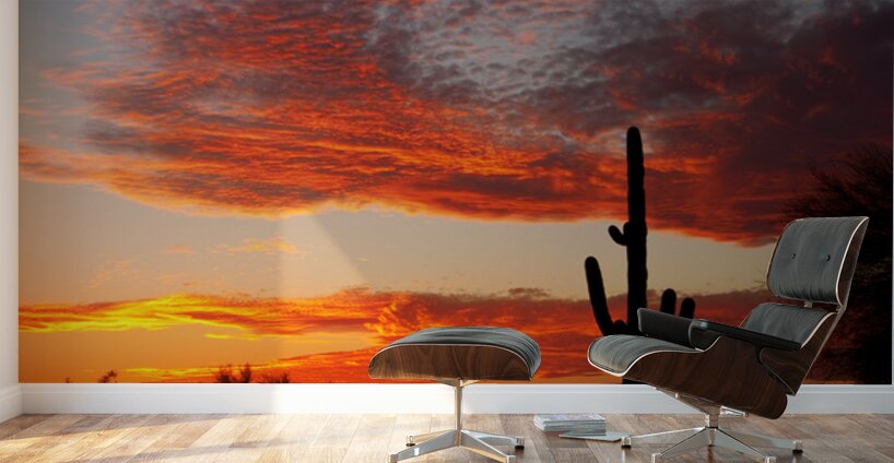  Fiery Arizona Sunset Behind a Silent Saguaro Wall Murals