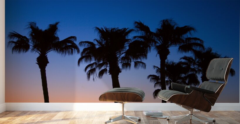 Palm Shadows Dancing in the Colors of Dusk Wall Murals