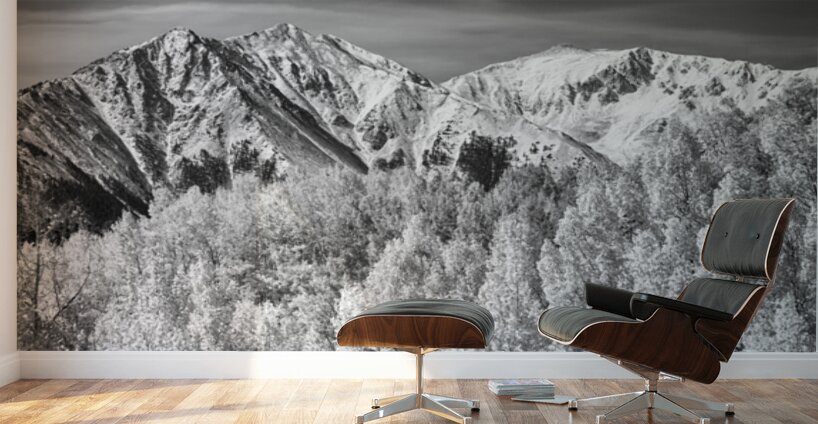Timeless Majesty of Independence Pass Wall Murals