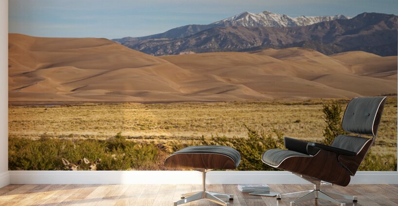 Deer And The Great Colorado Sand Dunes Wall Murals